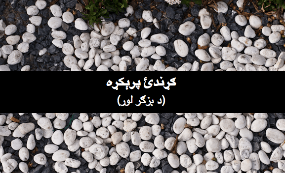 ګړندئ پرېکړه د بزګر&nbsp;لور