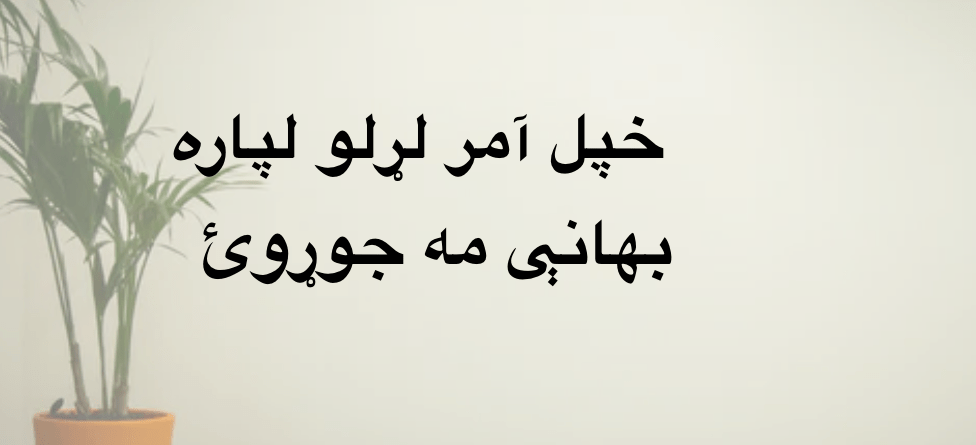 خپل آمر لړلو لپاره بهانې مه&nbsp;جوړوئ