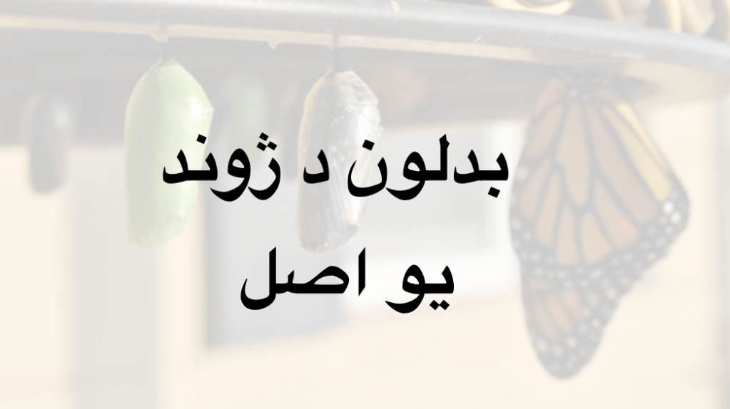 بدلون د ژوند يو&nbsp;اصل