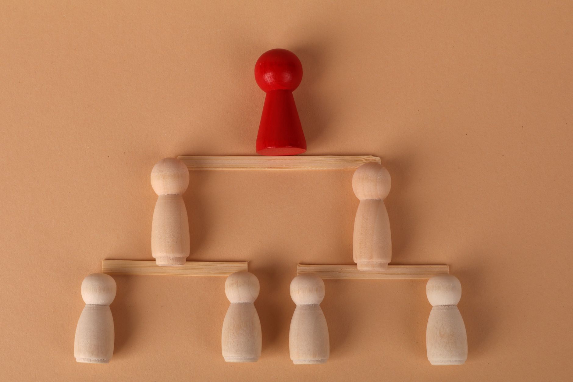 wooden figures display organizational structure